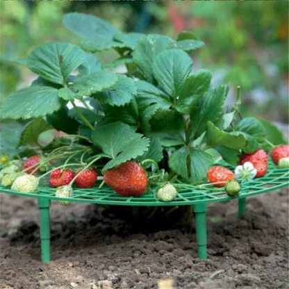 Balcony Vegetable Rack - Image 6